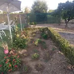 Neben Orangenbaum-obstgarten By Interhome * 벌하티